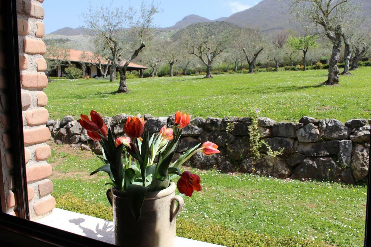 פדולה Agriturismo Il Castagneto מראה חיצוני תמונה