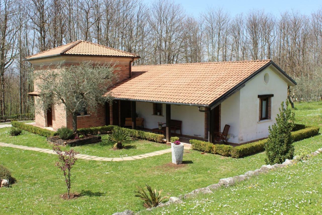 פדולה Agriturismo Il Castagneto מראה חיצוני תמונה