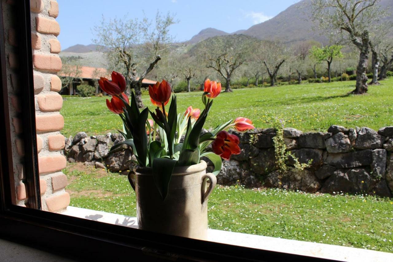 פדולה Agriturismo Il Castagneto מראה חיצוני תמונה